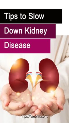 Tips to Slow Down Kidney Disease Clean Kidneys, Polycystic Kidneys