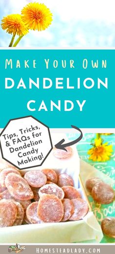 an advertisement for dandelion candy with the words make your own dandelion candy