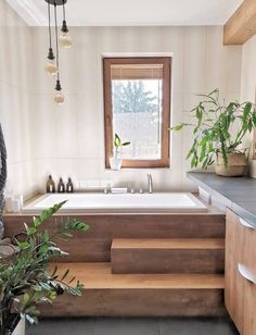 a bath tub sitting next to a window with plants in front of it on top of a counter