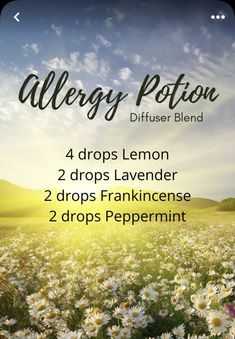 Homemade Alternatives, Seasonal Allergy Relief, Essential Oils Allergies, Diffuser Oils