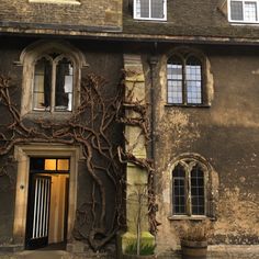 an old building with vines growing on it