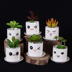 four white pots with plants in them on top of a wooden stand and one has eyes painted on it