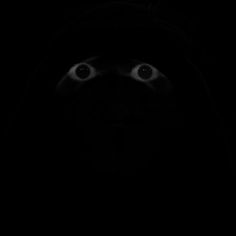 a black cat in the dark with its eyes wide open