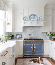 a dog laying on the kitchen floor in front of an oven and counter top with plates above it