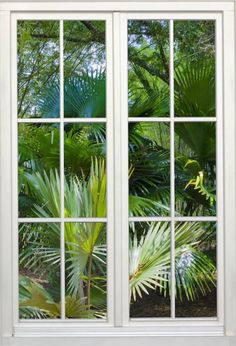 an open window with palm trees in the back ground and green foliage on the other side