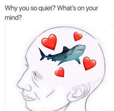 a drawing of a shark with hearts in it's mouth and the caption says, why do you quiet? what's on your mind?