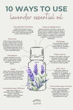 Ways to use lavender essential oil, aromatherapy, science of essentials, cleaning, meditation, DIY’s How To Use Lavender Oil, Lavender Roll On, Diy Lavender Spray, How To Make Lavender Essential Oil, How To Use Fresh Lavender, Lavender Leaves Uses, Cleaning Meditation, Diy Lavender Oil, Lavender Essential Oil Blends