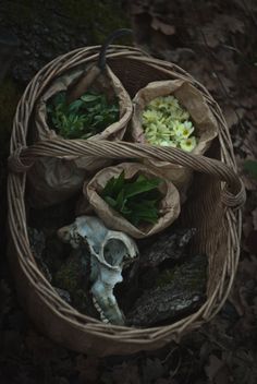 a basket filled with different types of flowers and plants in it's wrappers