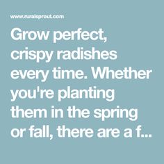 the words grow perfect, crispy radishes every time whether you're planting them in the spring or fall, there are at f