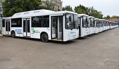 a row of buses parked in a parking lot