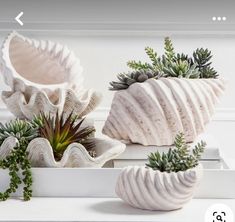 three white ceramic planters with succulents and plants in them on a table