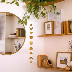 a living room with plants and pictures on the wall next to a mirror that is hanging above a couch