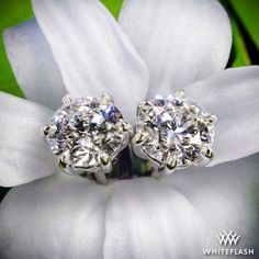 0.815ct H VS1 A CUT ABOVE Round Diamond set in 6 Prong Martini Earring Settings Diamond Earrings Design, Earring Pins, Round Diamond Setting, Luxurious Jewelry, Simple Outfit, Jewelry Pins, Diamond Set, Girls Best Friend, Designer Earrings