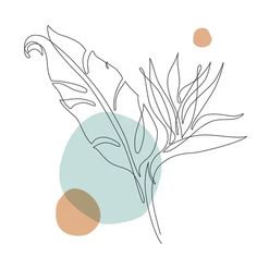 a drawing of a plant with circles around it on a light blue and beige background