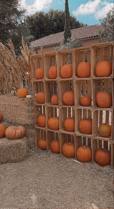 pumpkins are arranged in crates on hay bales