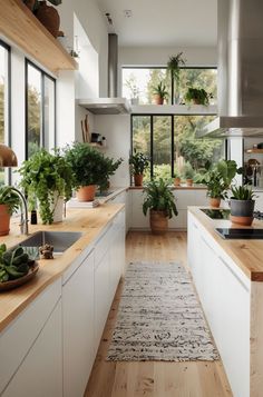 a kitchen filled with lots of potted plants on top of counter tops next to a sink