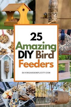 25 amazing diy bird feeders that are easy to make and great for beginners