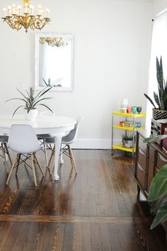 a dining room table with chairs and a potted plant in the corner next to it