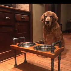 a brown dog sitting next to two metal bowls on top of a wooden table in front of a sink