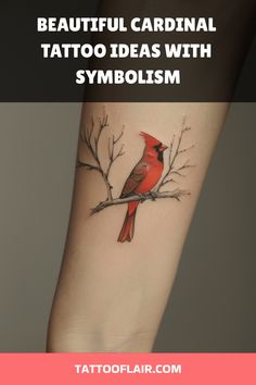 a red bird sitting on top of a branch with the words beautiful cardinal tattoo ideas with symbol