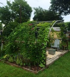 an outdoor garden with lots of green plants