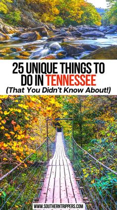 25 Unique Things to do in Tennessee (That You Didn't Know About!) Weekend Road Trip, Tennessee Nashville, North America Travel Destinations