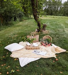 a picnic blanket with flowers and tea cups on it in the grass near a tree