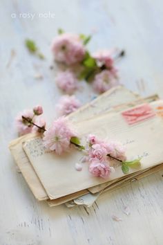 an open book with pink flowers on it