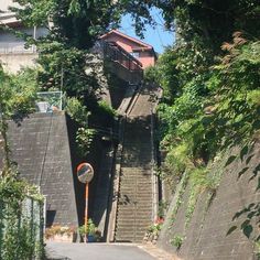 the stairs lead up to the top of the hill are narrow and overgrown with trees on either side