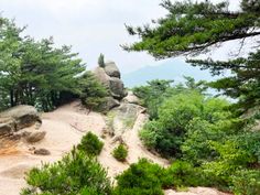 trees and rocks on the side of a mountain