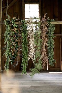 some green and brown plants hanging from the ceiling