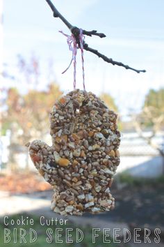 a bird seed feeder hanging from a tree branch