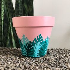 a pink and green potted plant sitting on top of a rock covered ground next to a cactus