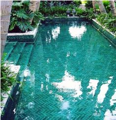 the pool is surrounded by palm trees and greenery, which are reflected in the water