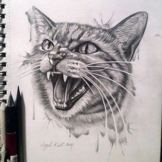 a drawing of a cat with its mouth open and it's teeth wide open