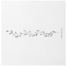 a line drawing of leaves on white paper