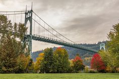 a large bridge spanning over a lush green forest