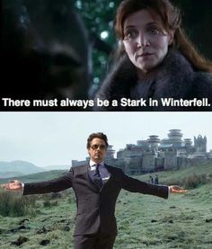 an image of the same person in harry potter's house with caption that reads, there must always be a stark in winterfell