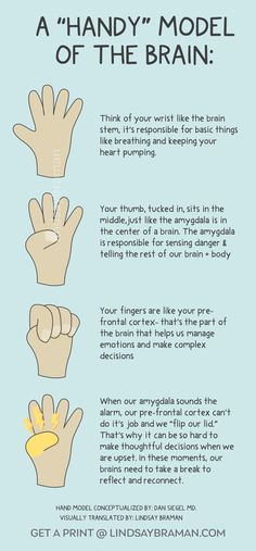 Flipping Your Lid Brain, Wilbarger Brushing Protocol Handout, Uno Counseling Game, Social Work Practicum, Flip Your Lid Brain Activity, Social Emotional Learning For Adults, Flipping Your Lid, Regulate Emotions Adults, Tfcbt Psychoeducation