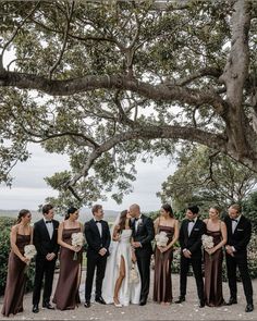 a group of people standing next to each other under a tree