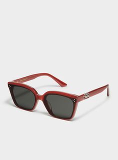 Sunglasses Gentle Monster, Saint Tropez France, Gentle Monster Sunglasses, Latest Sunglasses, Saint Tropez, Brown Beige, Designer Sunglasses, Pink Grey