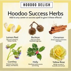 Hoodoo Tips, Hoodoo Herbs, Hoodoo Delish, Divine Feminine Power, Money Spells Magic, Hoodoo Magic, Hoodoo Conjure, Witchcraft Herbs, Manifest Success