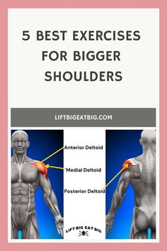 5 Best Exercises For Bigger Shoulders Body Exercises