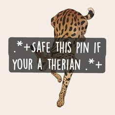 a cat that is standing on its hind legs with the words safe this pin if your a