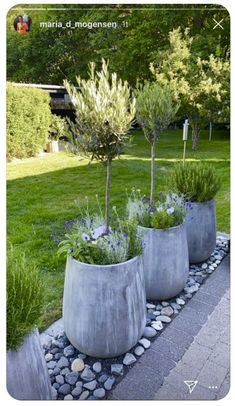 three cement planters sitting in the middle of a garden with rocks and plants around them