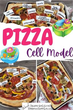 this is an image of a homemade pizza with labels on it and instructions for how to make