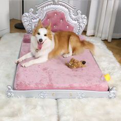 a brown and white dog laying on top of a pink bed