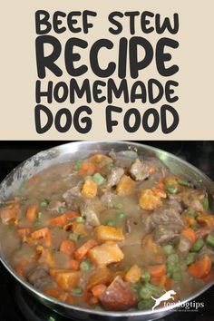 beef stew recipe with homemade dog food