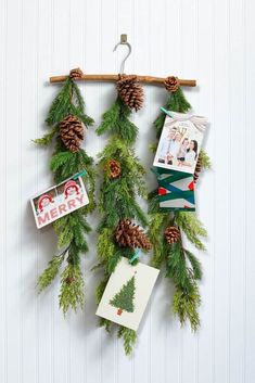 pine cones and evergreen needles hang from a clothes line with christmas cards attached to them