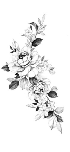 black and white drawing of flowers on a white background